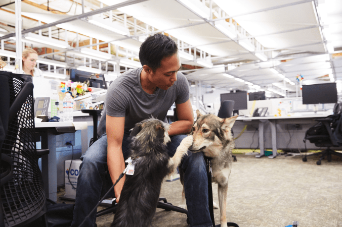 4-D1-GCE-1-01398.max-2800x2800